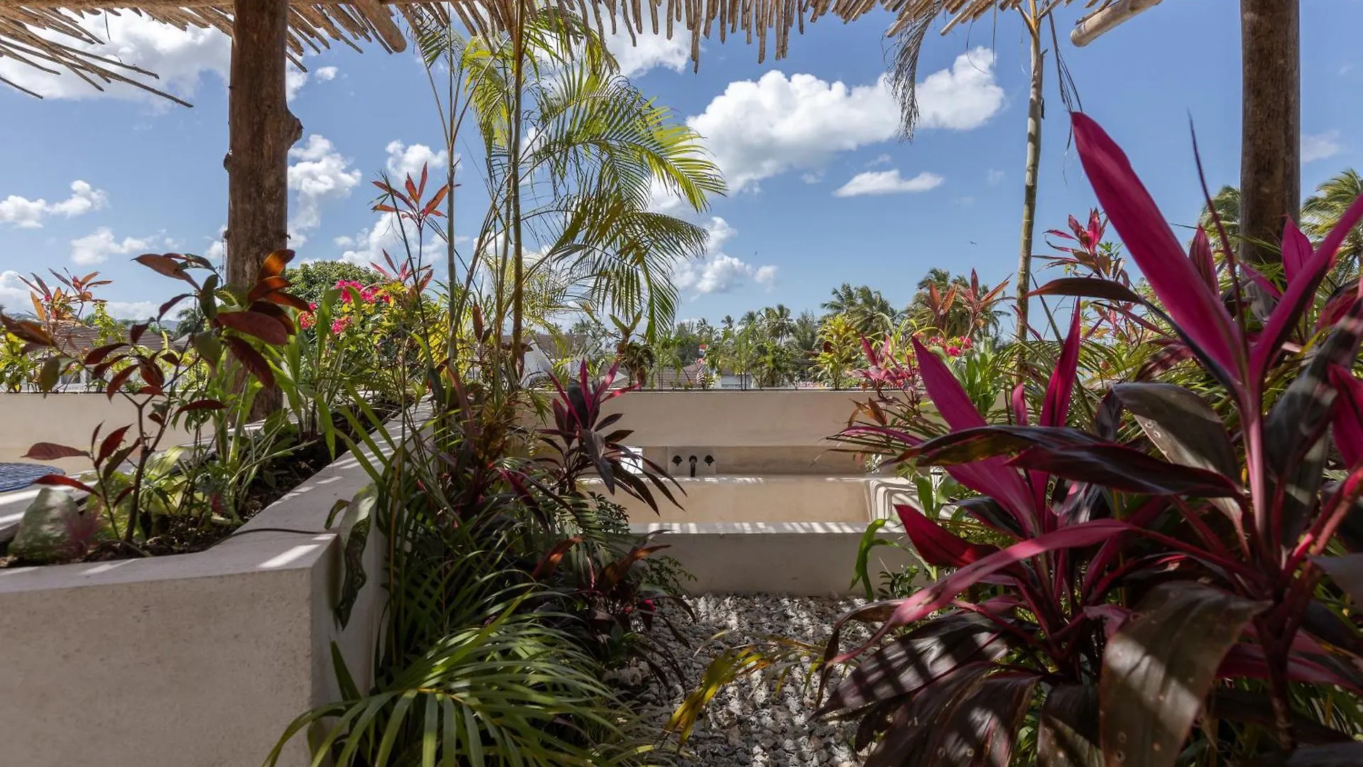El Mambo Boutique Hotel 拉斯特拉纳斯 0*,  多米尼加共和国