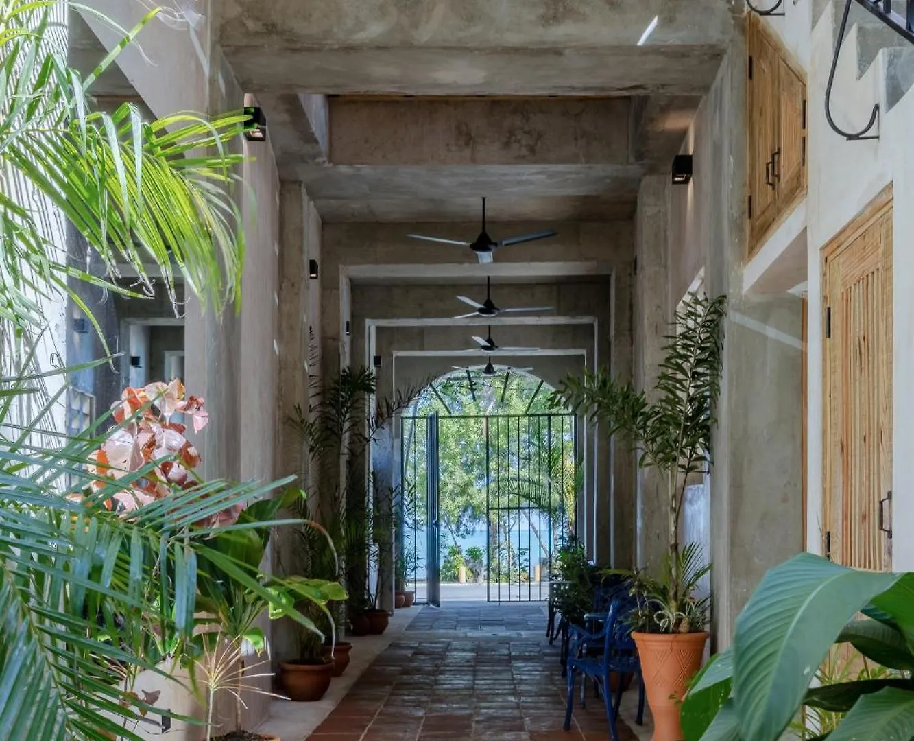 El Mambo Boutique Hotel 拉斯特拉纳斯 多米尼加共和国